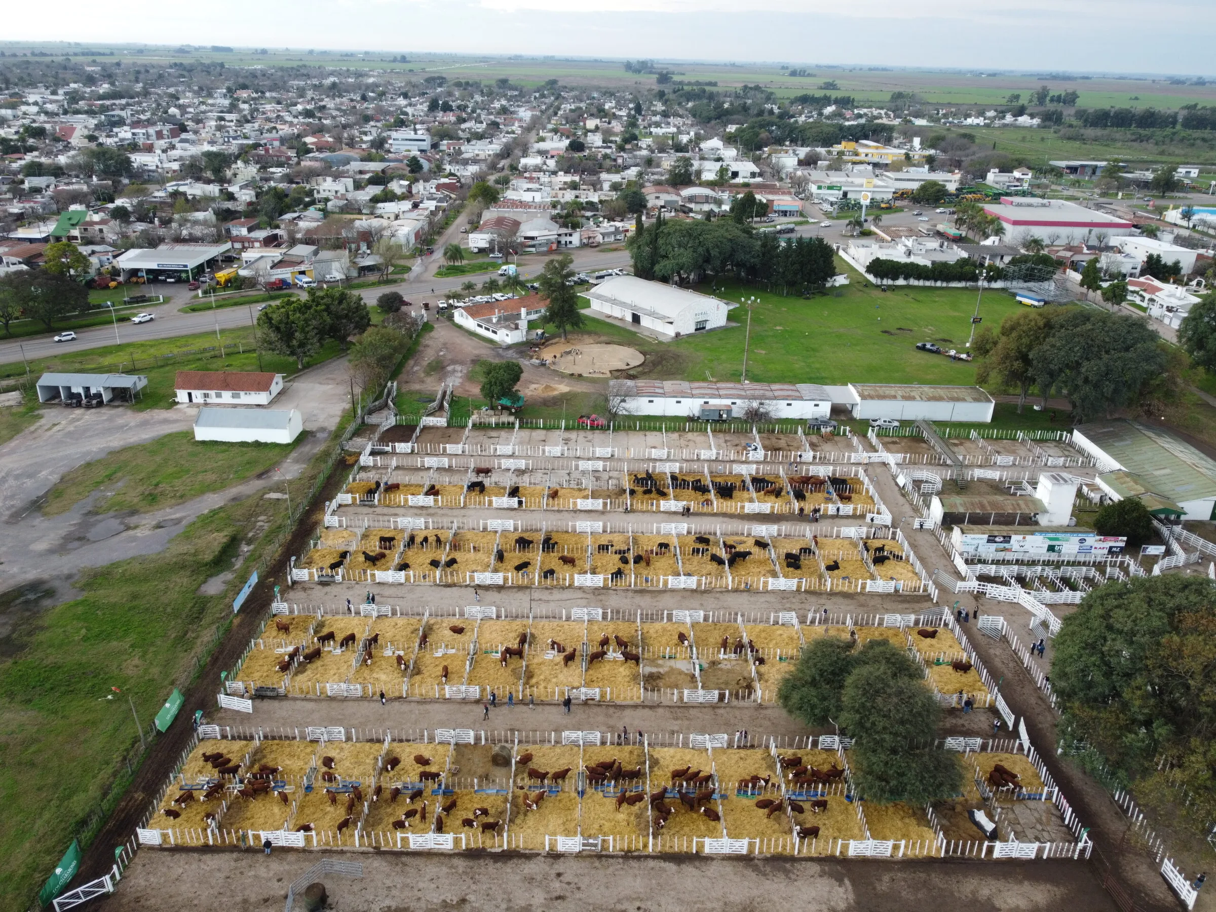 DJI_0944