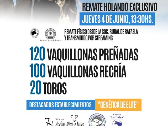 Se viene la 4ª edición del Remate Pasión Lechera en Rafaela con genética Holando de élite