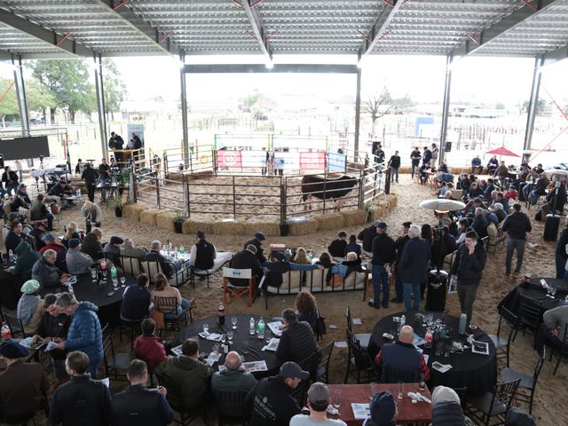 San Justo fue escenario de un gran remate de genética con Los Charabones, Don Pedro y Don Chiquito