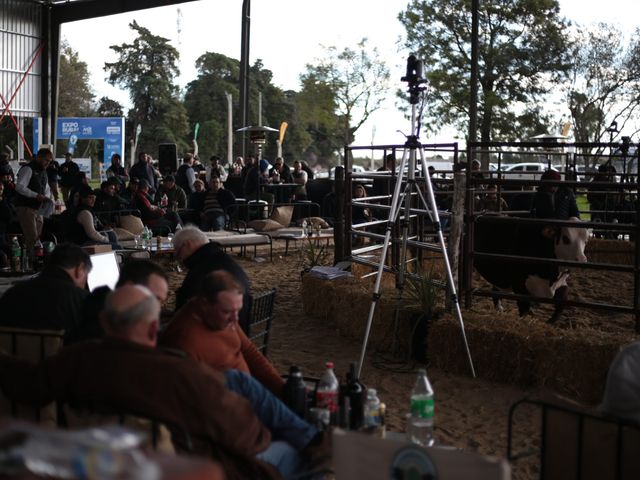 San Justo fue escenario de un gran remate de genética con Los Charabones, Don Pedro y Don Chiquito