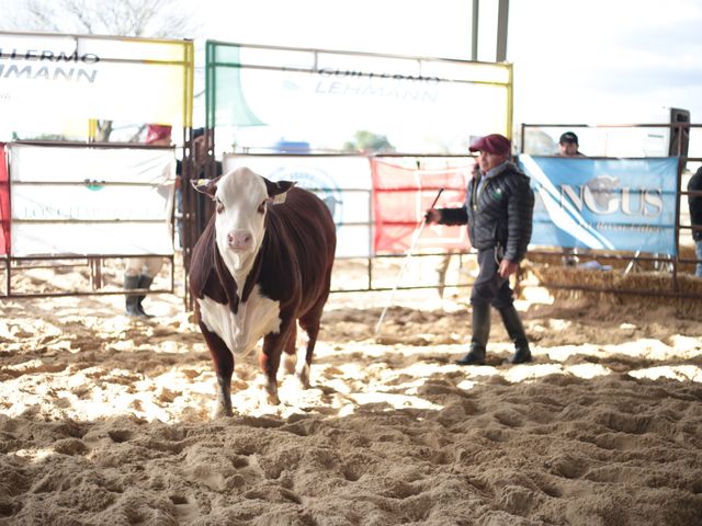 San Justo fue escenario de un gran remate de genética con Los Charabones, Don Pedro y Don Chiquito