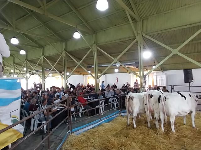 Pasión Lechera volvió a llenar la Rural de Rafaela con genética de primer nivel y grandes valores