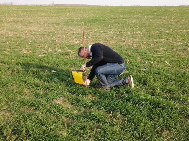 “APROVECHANDO SU REGIONALIDAD, LA LEHMANN DECIDIÓ HACER UNA RED ALERTA PARA LA DETECCIÓN DE LA CHICHARRITA”