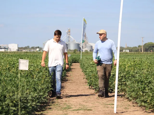 CAMPAÑA GRUESA 2024/25: LOGÍSTICA Y ASESORAMIENTO ESTRATÉTICO, LOS PILARES DE LA LEHMANN PARA SUS PRODUCTORES