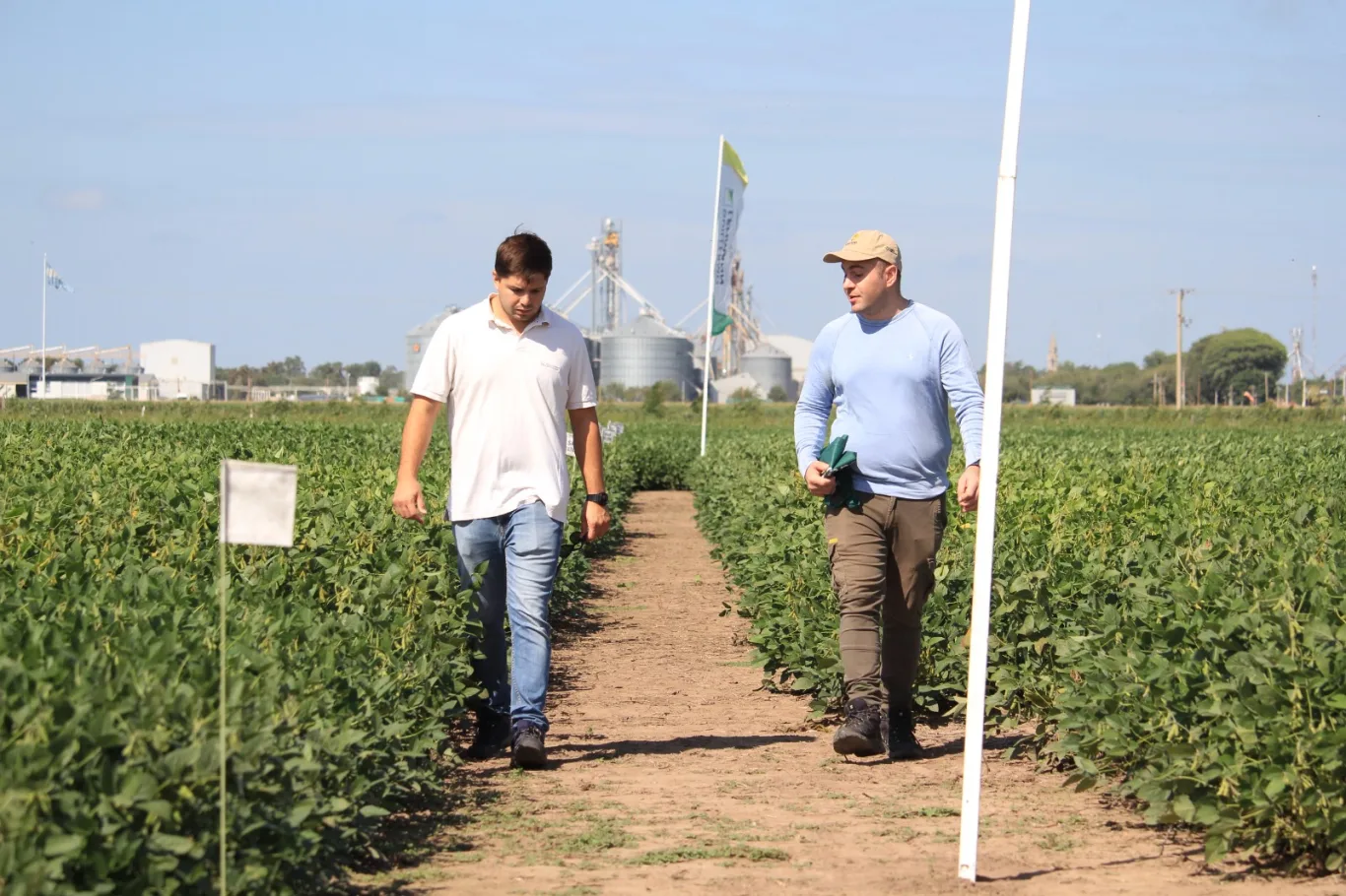 CAMPAÑA GRUESA 2024/25: LOGÍSTICA Y ASESORAMIENTO ESTRATÉTICO, LOS PILARES DE LA LEHMANN PARA SUS PRODUCTORES