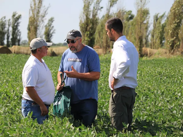 CAMPAÑA GRUESA 2024/25: LOGÍSTICA Y ASESORAMIENTO ESTRATÉTICO, LOS PILARES DE LA LEHMANN PARA SUS PRODUCTORES
