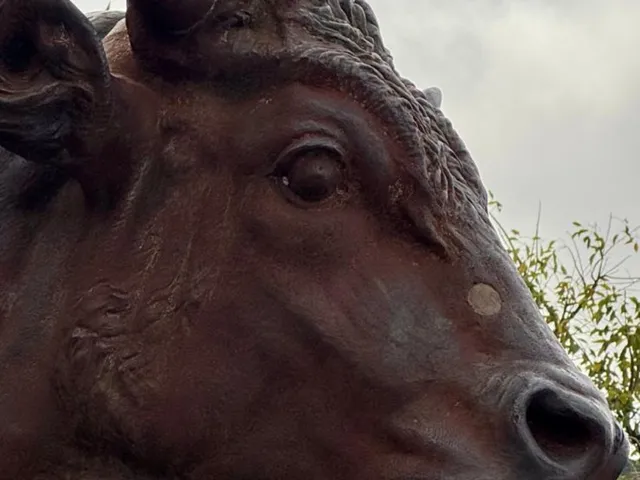 LA LEHMANN VOLVIÓ A SER PROTAGONISTA EN LA EXPO RURAL DE PALERMO 2025