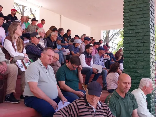 MÁS DE 150 REPRODUCTORES SE SUBASTARON EN EL 11° GRAN REMATE DEL NORTE SANTAFESINO EN VERA