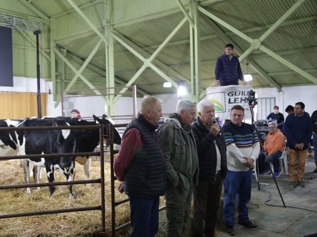 Se viene la 4ª edición del Remate Pasión Lechera en Rafaela con genética Holando de élite