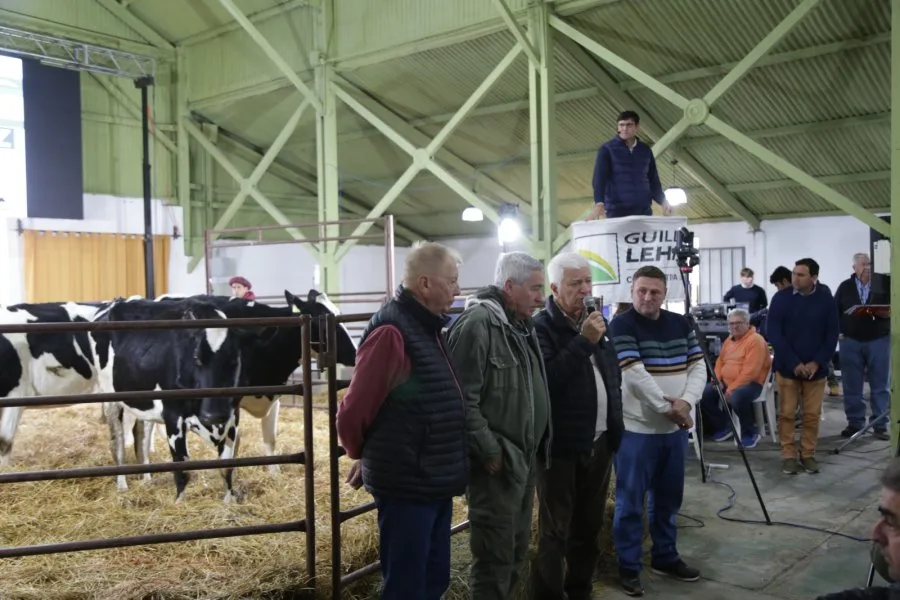 Se viene la 4ª edición del Remate Pasión Lechera en Rafaela con genética Holando de élite