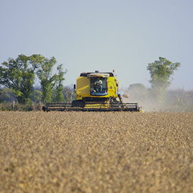 cotizaciones_de_cereales