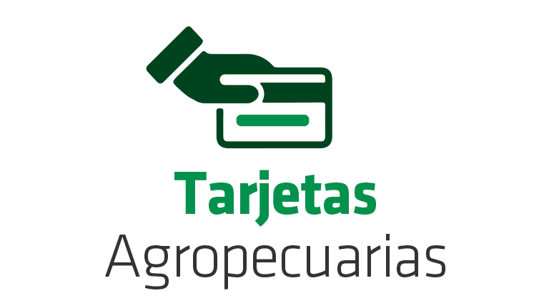 Tarjetas